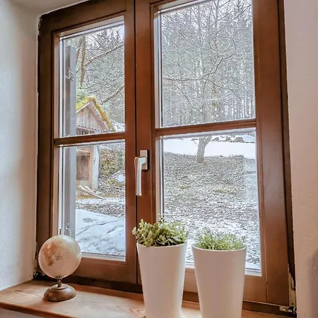 Cozy Tiny House Only 20 Mins From Gesaeuse! *